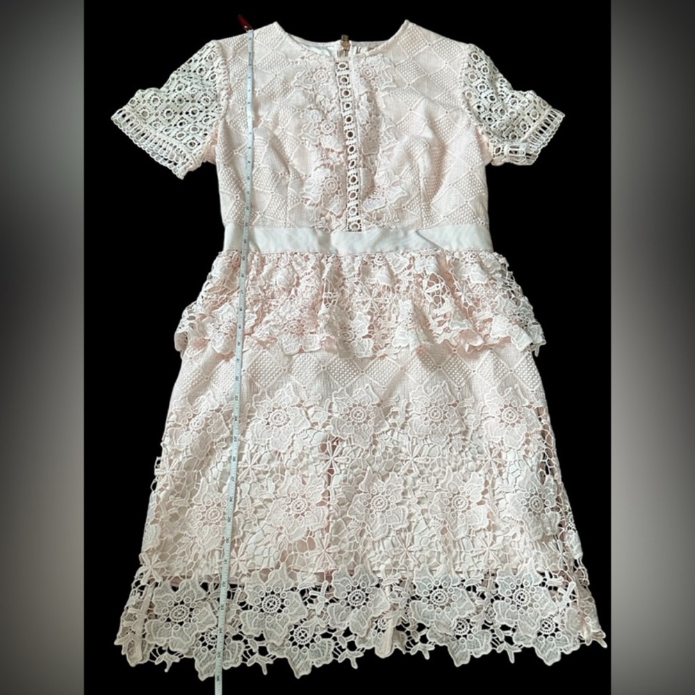 Ted baker Elegant Pink Lace Dress - Picture 6 of 10